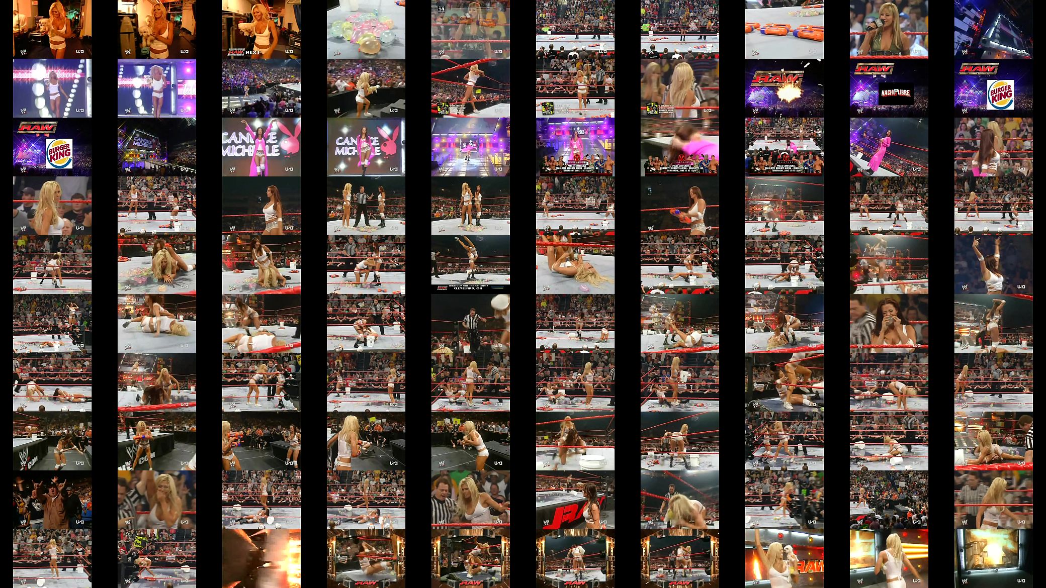 torrie vs candice wet t shirt match 预览图