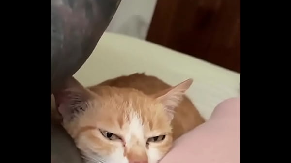 Miss our little crazy cat already! Do you feed...