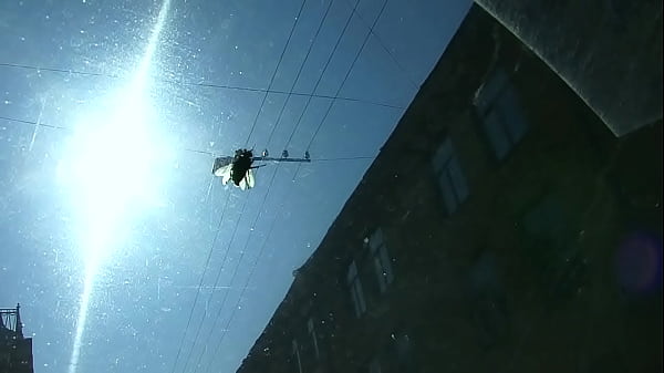 Vika European Adventure