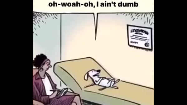 perro en el psicologo