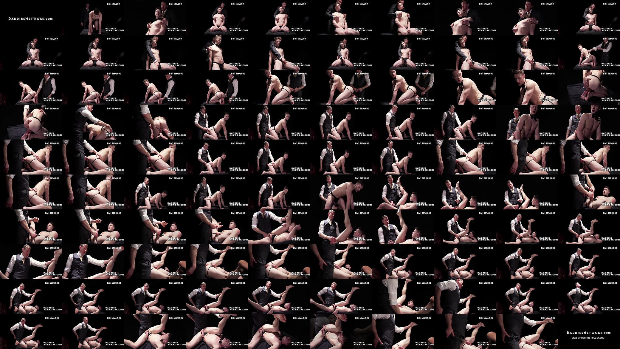 The Ultimate Fuck-Toy Auction 预览图