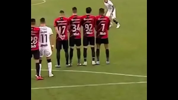 LOIRO CALVO BOTANDO PRA DENTRO SEM DÓ
