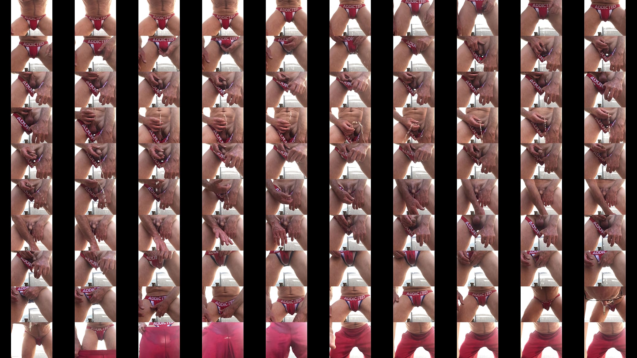 Pup Pdog Piss on Deck 预览图