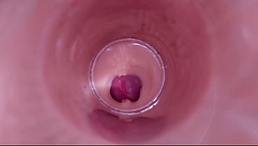Female Insemination - Internal Camera Captures Deep Male Ejaculation