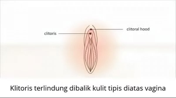 Último G-Spot