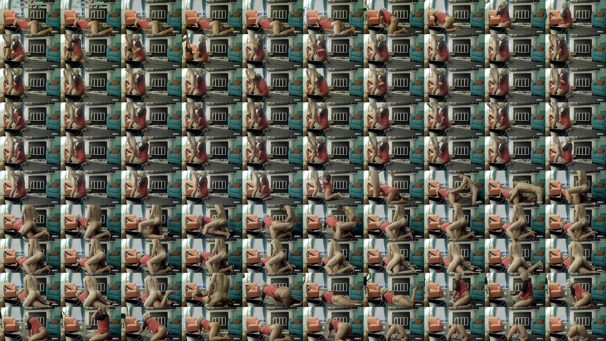 He Fucks Me Hard And Cums In My Ass ALEXIA ST JAMES 预览图