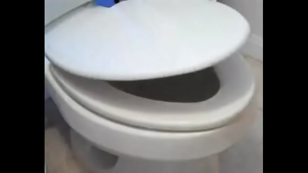 Toilet lid going down epic