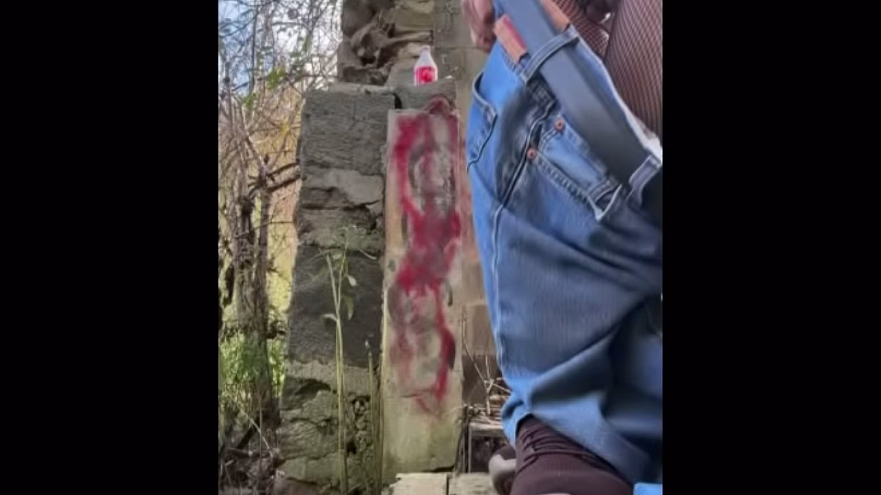 Another LIVE webcast at a park then a public toilet