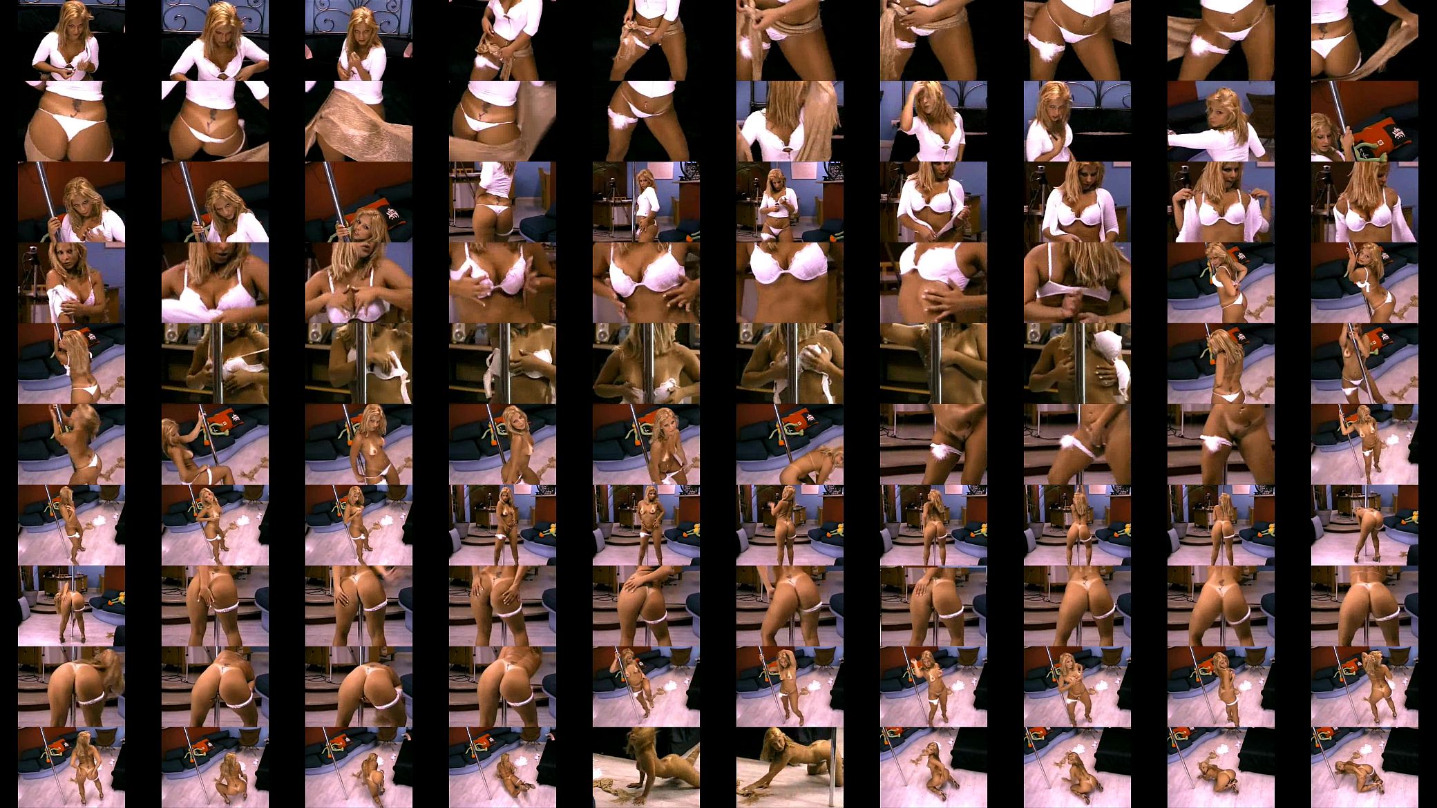 Pamela punch dreamcam 预览图