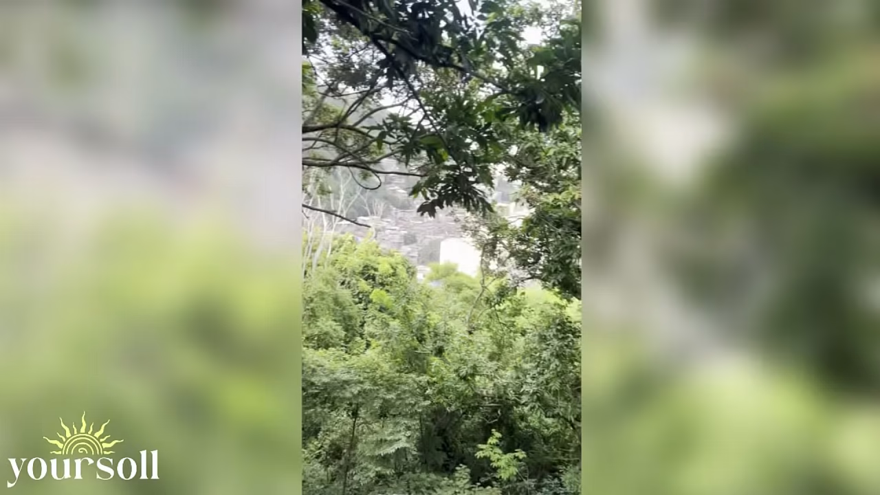 Fui em uma trilha no RJ e meu amigo me chamou pra fuder no morro