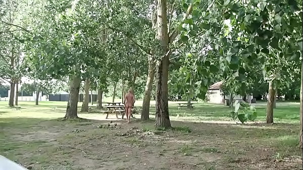 Download Video - promenade a poil sur une aire de repos du sudouest