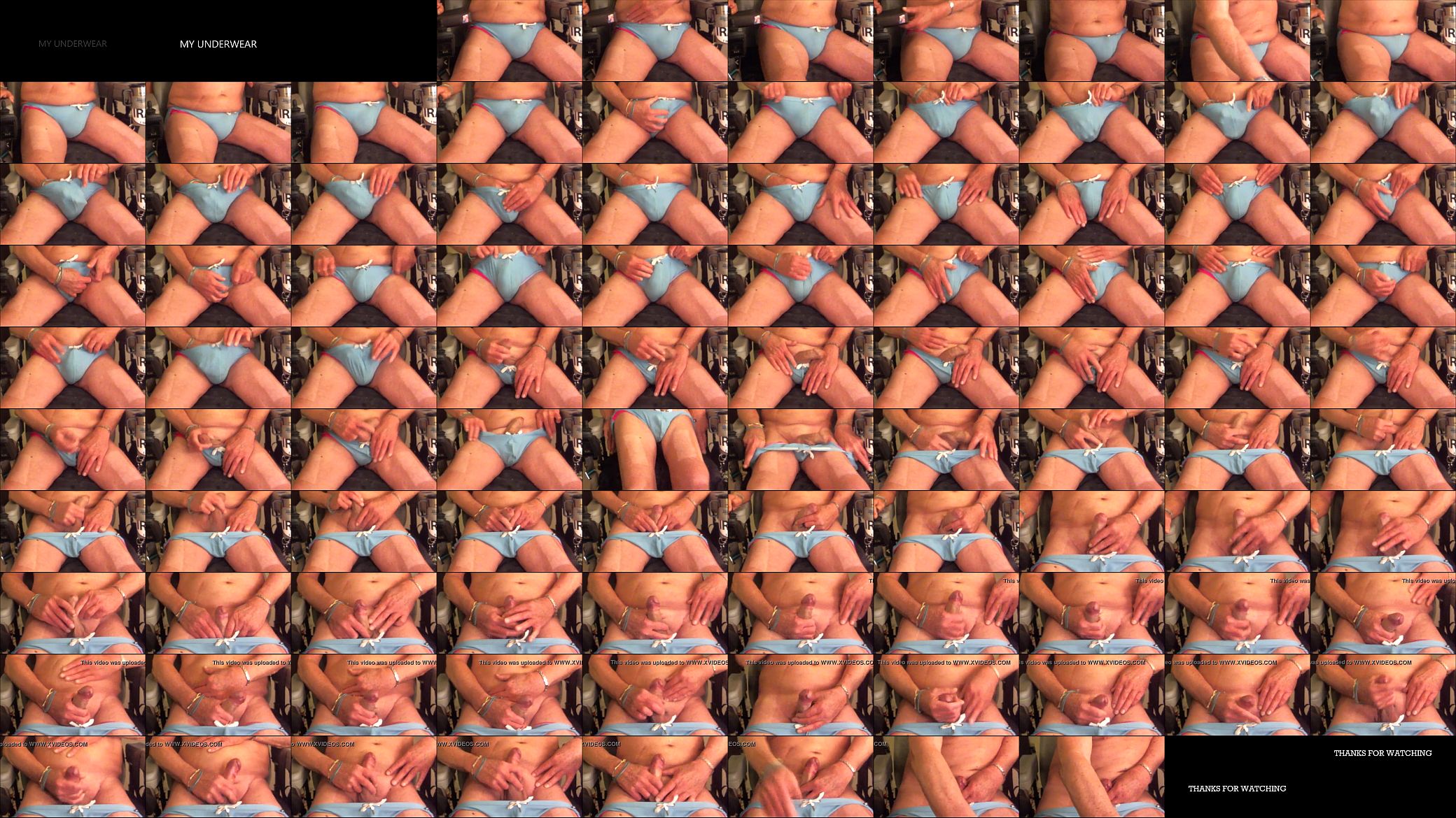 My Underwear 预览图