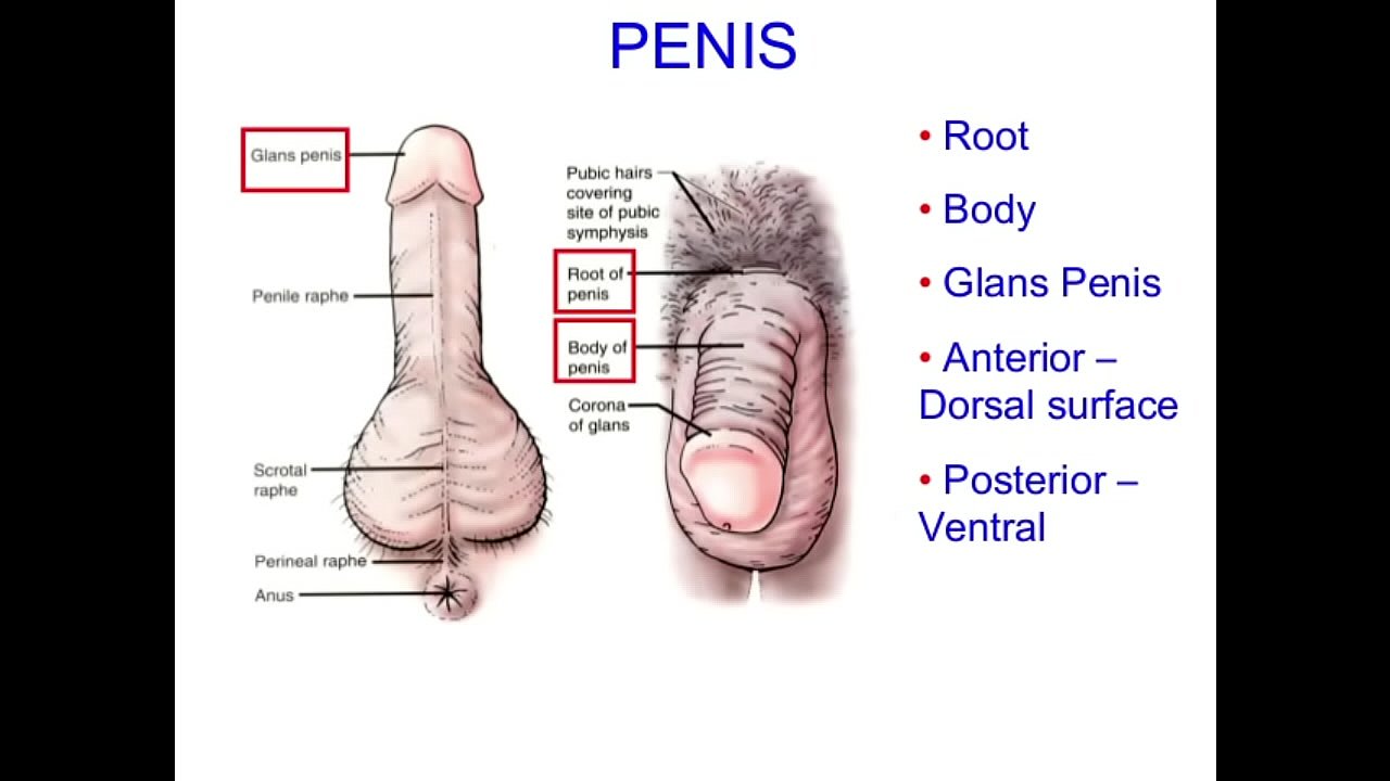 best male masturbation methods What are the best male masturbation techniques? – Boutique Voila main image 0