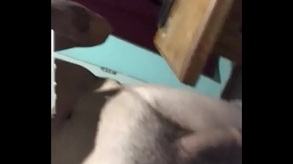 V&iacute;deo de verificaci&oacute;n