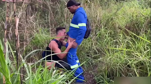 Seguiu o trabalhador no mato pra olhar ele mija...