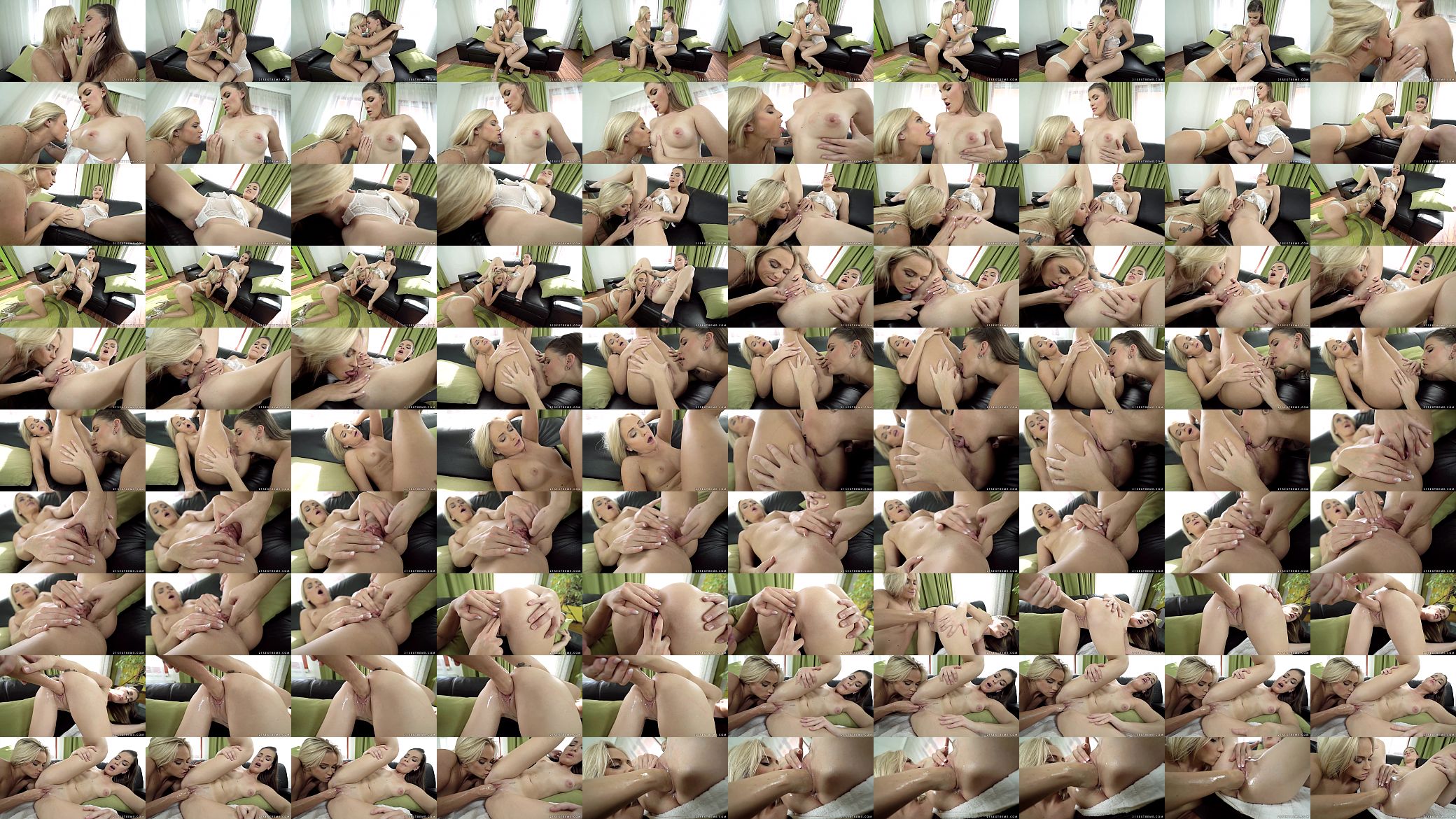 Fisting sex with Ennie Sweet and Vinna Reed 预览图