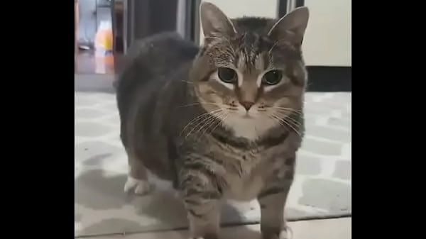 Masturba la mente, eyacula ideas