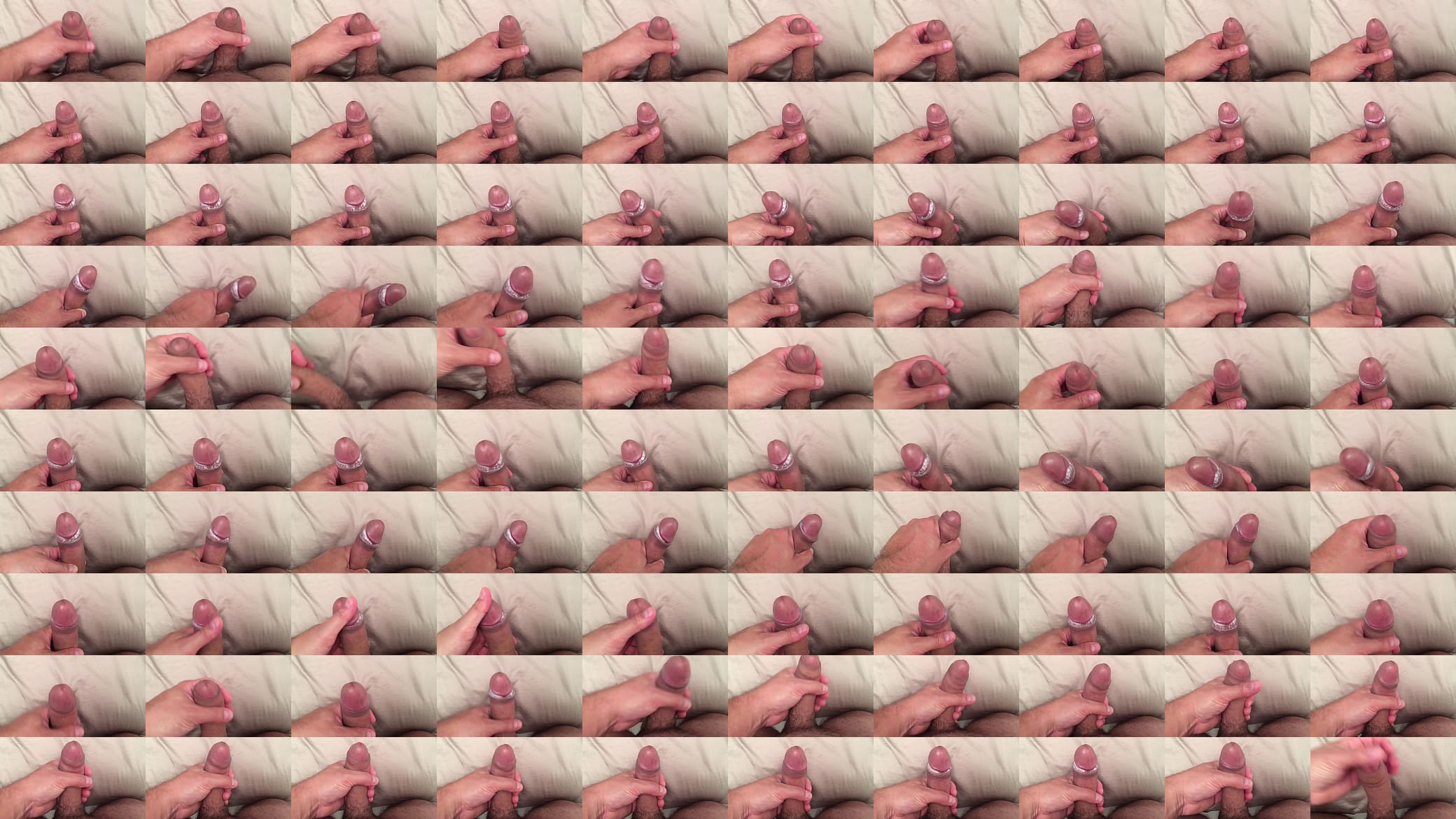 Pau com sebo 预览图