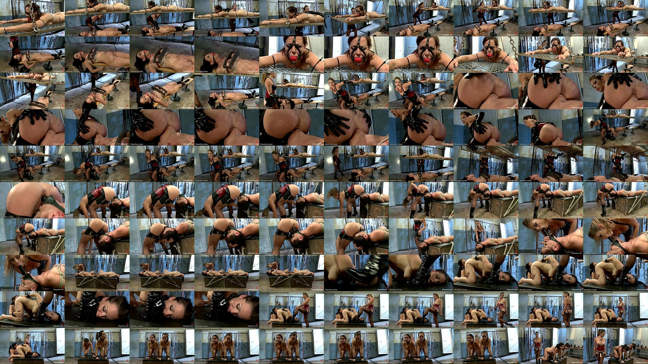 Bound lesbians flogged and whipped 预览图