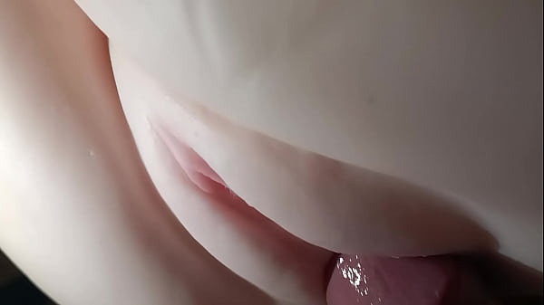 Download Video - This pussy is free&period;