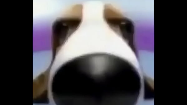 femboy de calcinha pirocudo vai com vai com o rabetão no chão todo gozar de porra