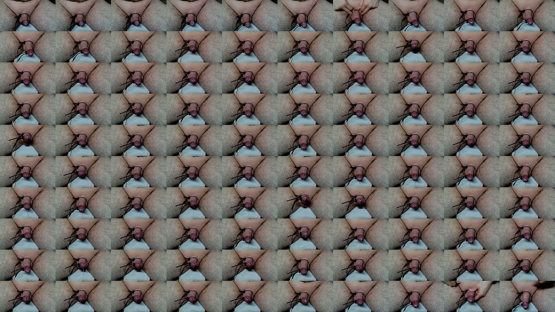 cum on plate 预览图