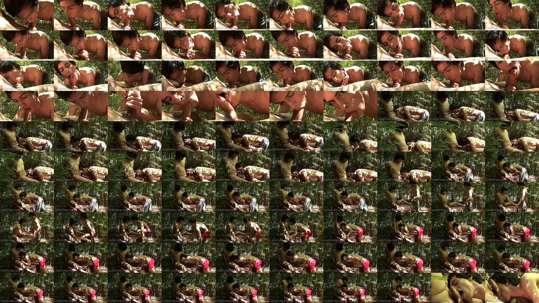 Horny lad gets caught wanking off deep in the wood 预览图