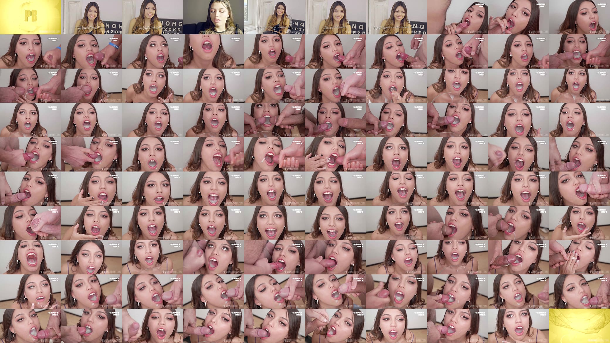 PremiumBukkake - Camila Palmer swallows 66 huge mouthful cumshots 预览图