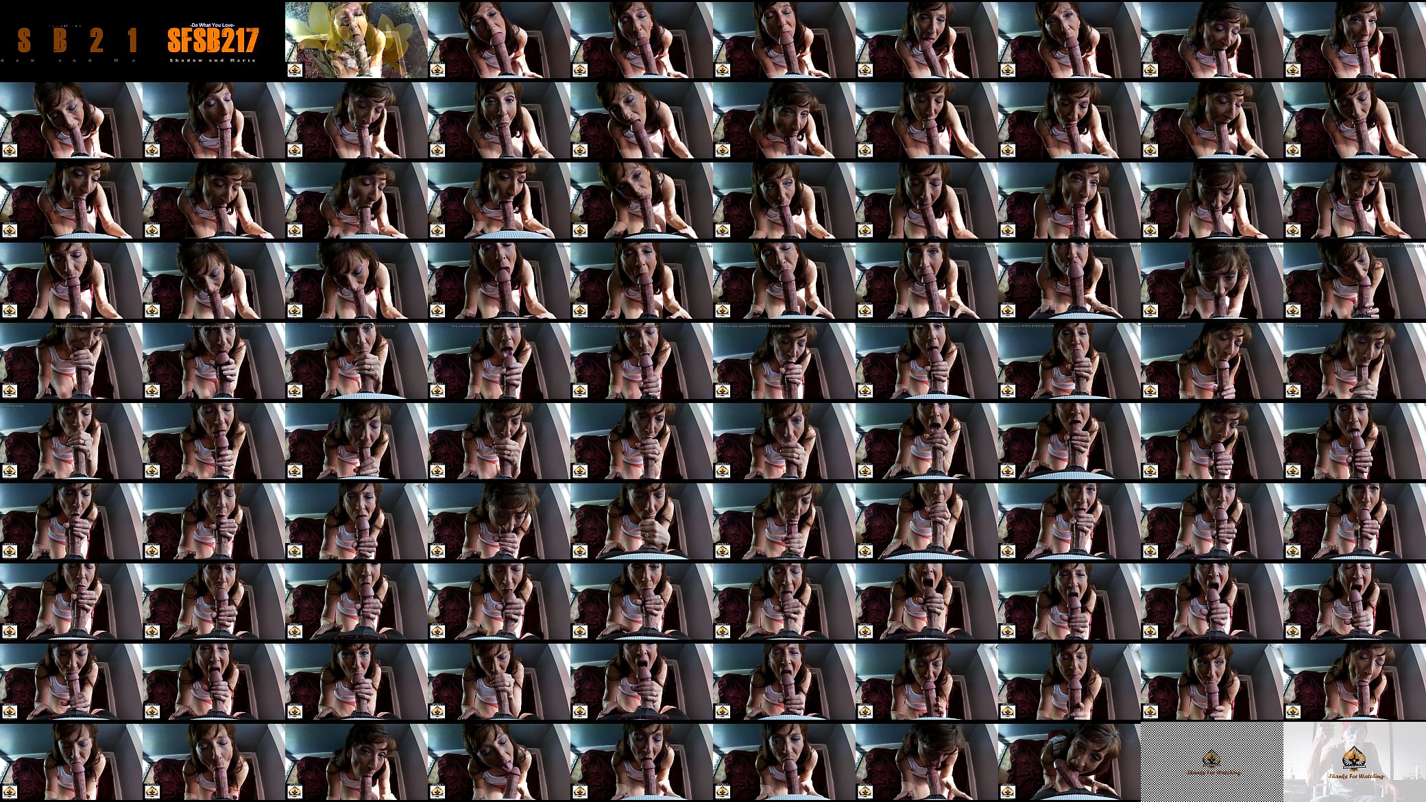 Sexy Milf Marie Blowjob Extraordinaire 预览图