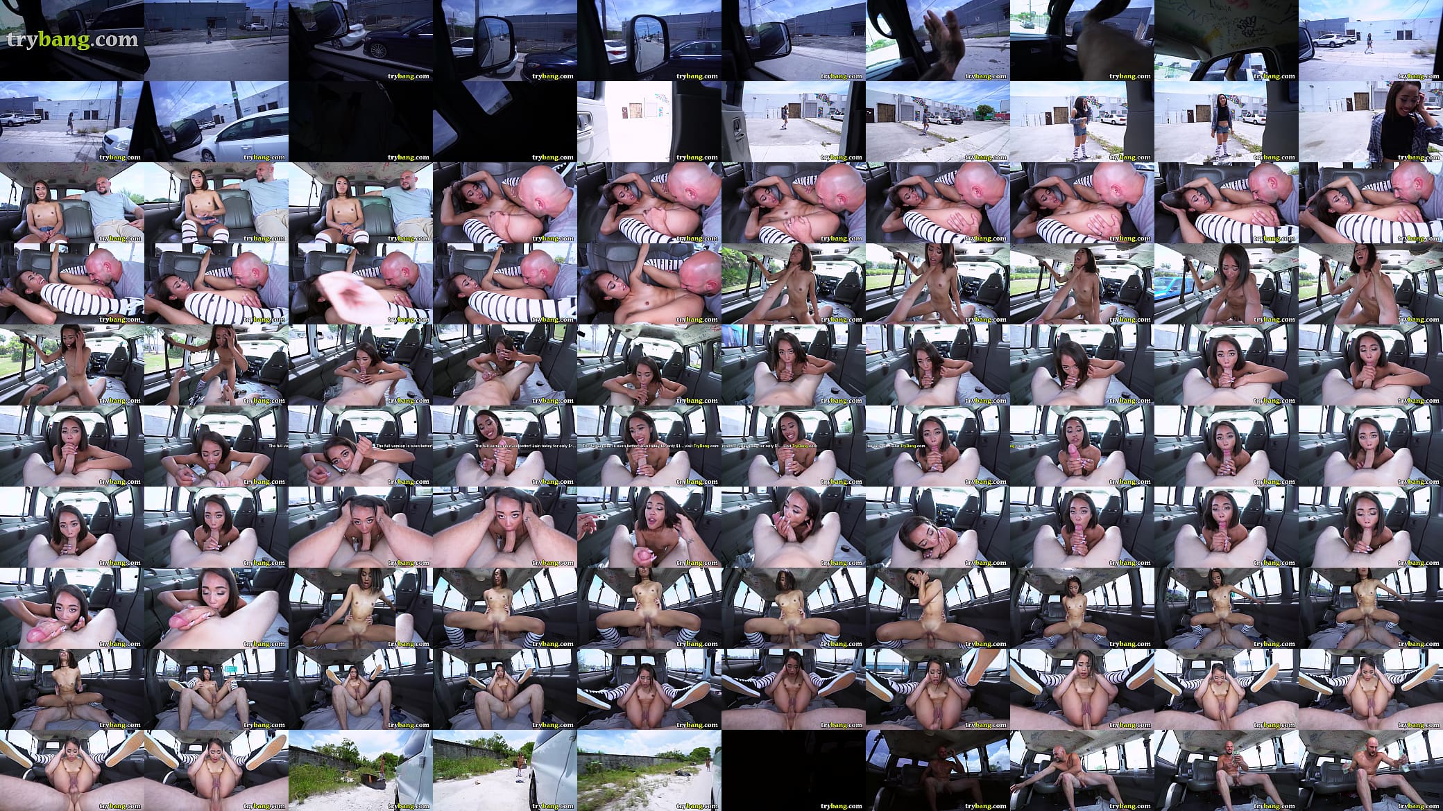 Young Aria Skye Fucked by J-Mac on The Bang Bus (bb16052) 预览图
