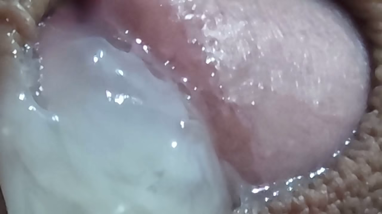 NOVINHO SAFADO SE MASTURBANDO LOUCAMENTE