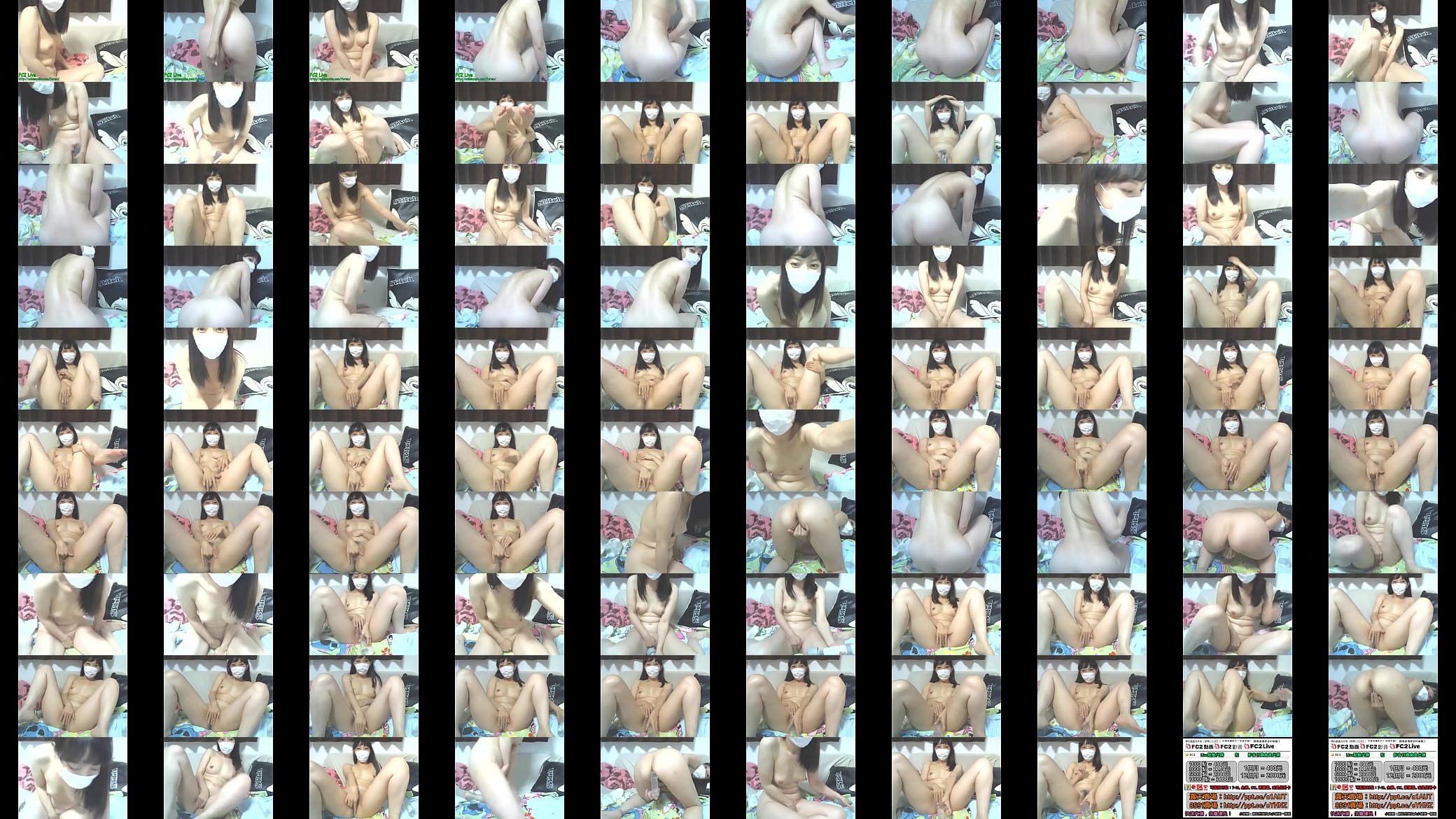 Webcam 预览图