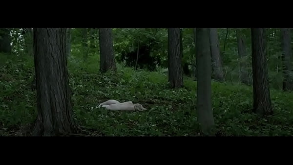 Emma Sehested Hoeg Fasandraeberne 2014