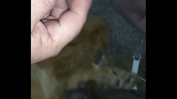 Download Video - Small dick