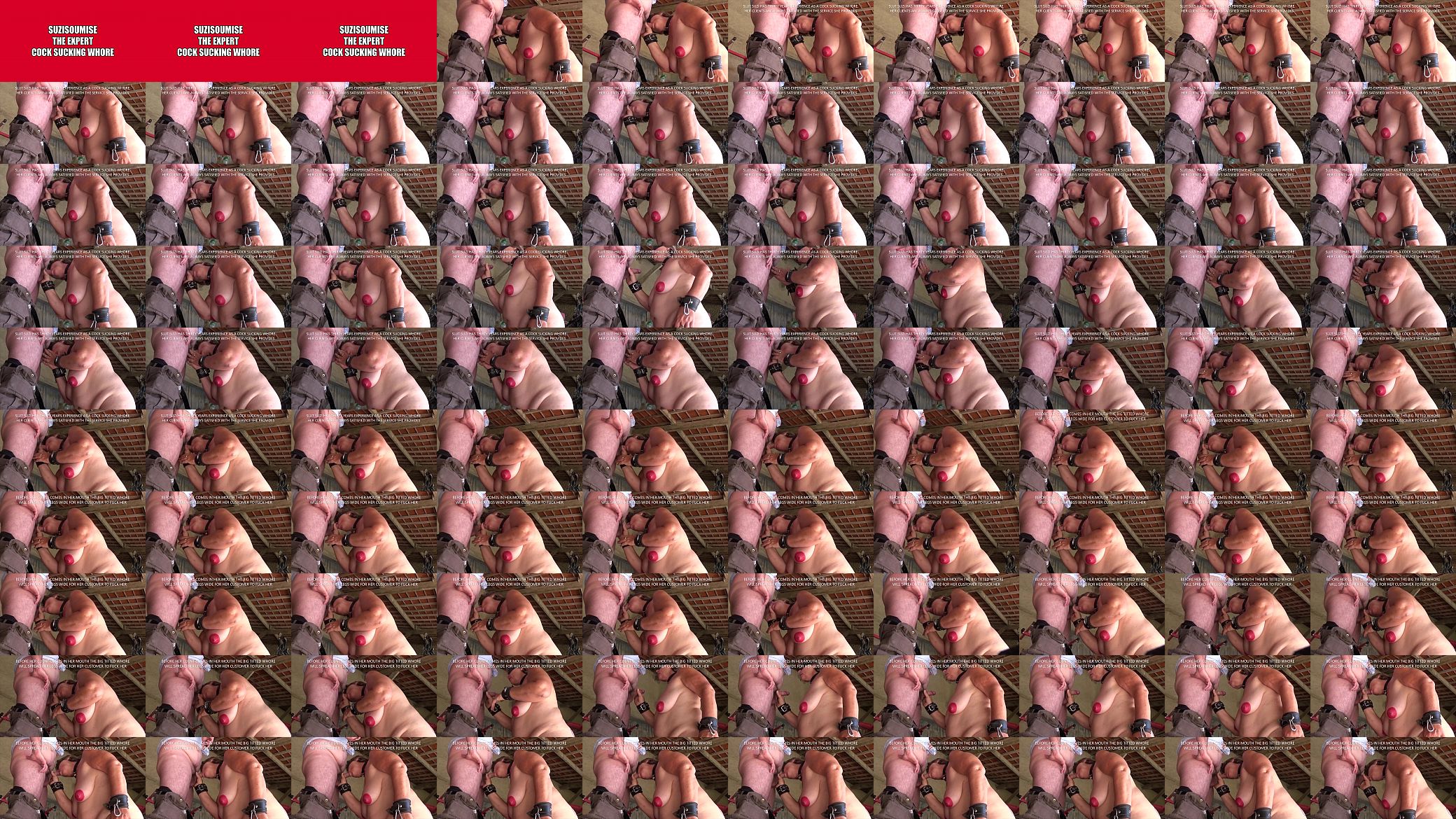 Suzisoumise is the Queen of cock suckers. 预览图