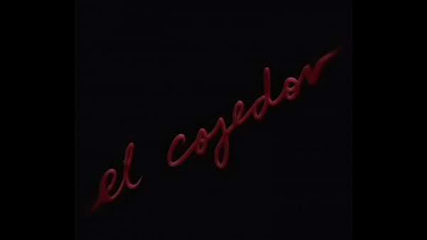 Dos jovenes lo hacen mientras estan solos en la casa