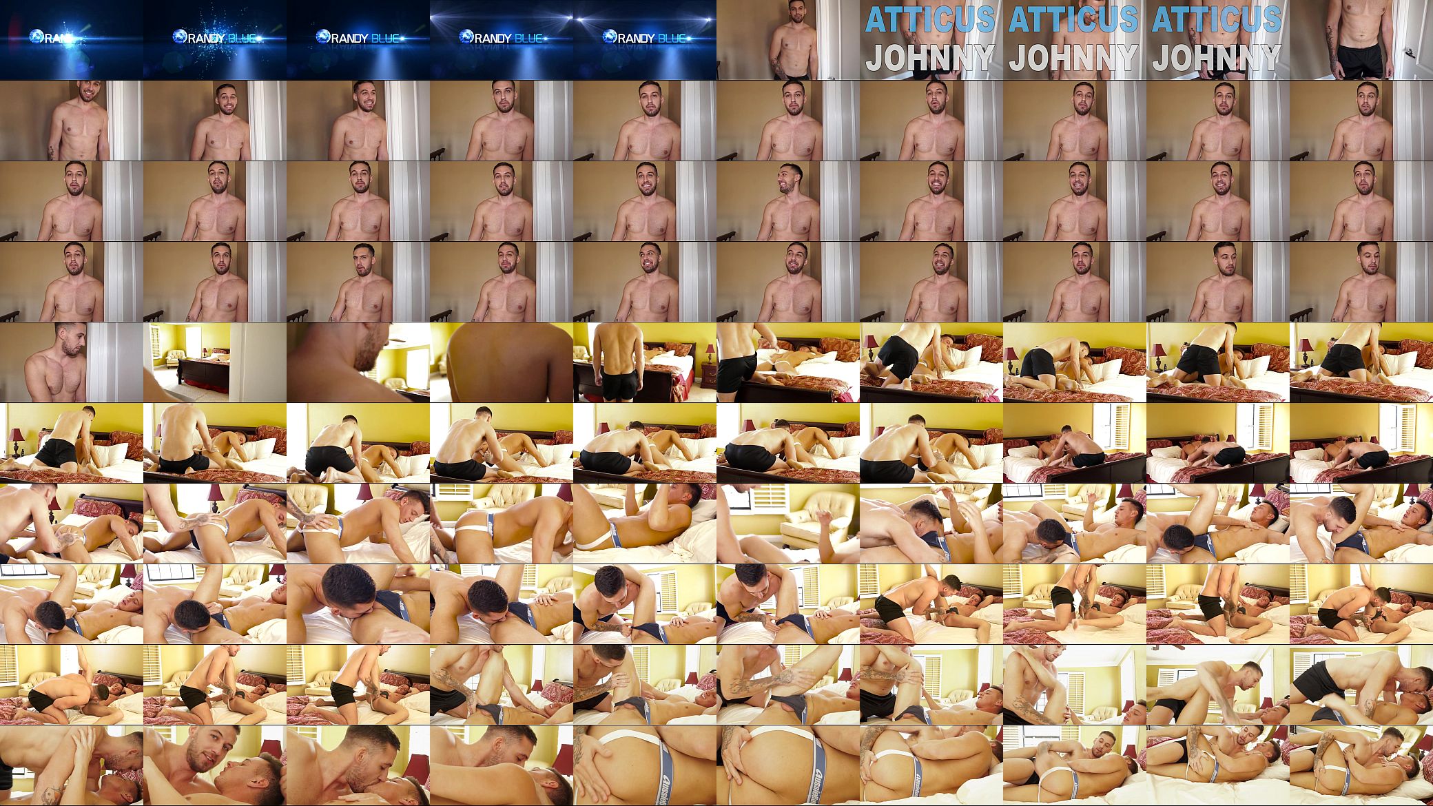 Atticus Fox and Johnny Cobra 预览图