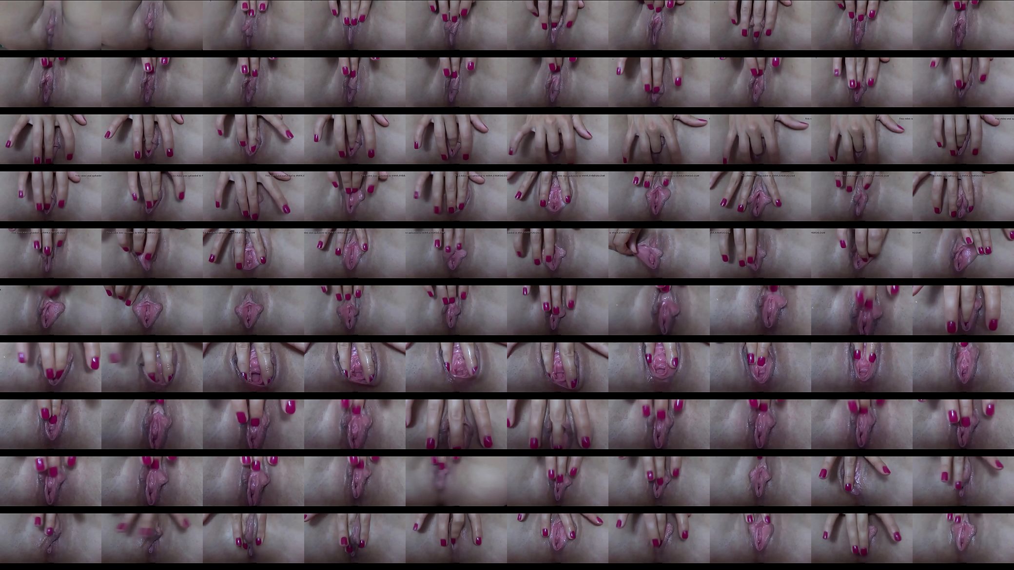 اجمل كس لبنت في عمان 预览图
