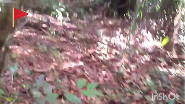 no quintal do seu Régis