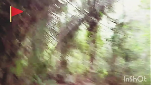  No Quintal Do Seu Régis