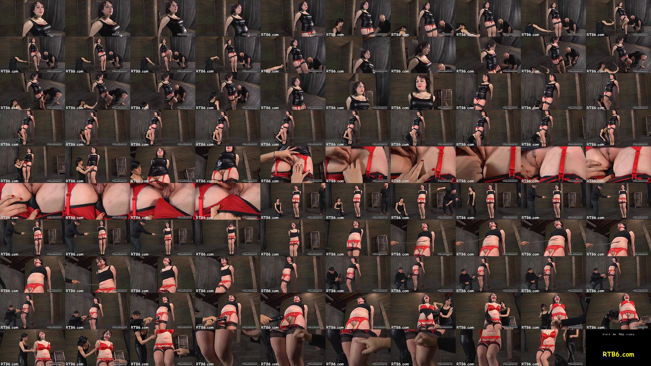 Sadomasochism kinks 预览图