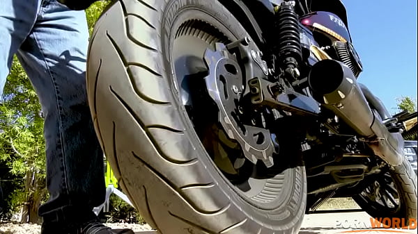 Let's Have Sex Immediately