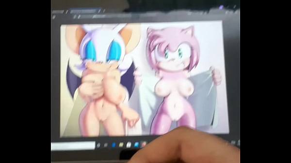 Rouge The Bat Et Amy Rose Cum Hommage