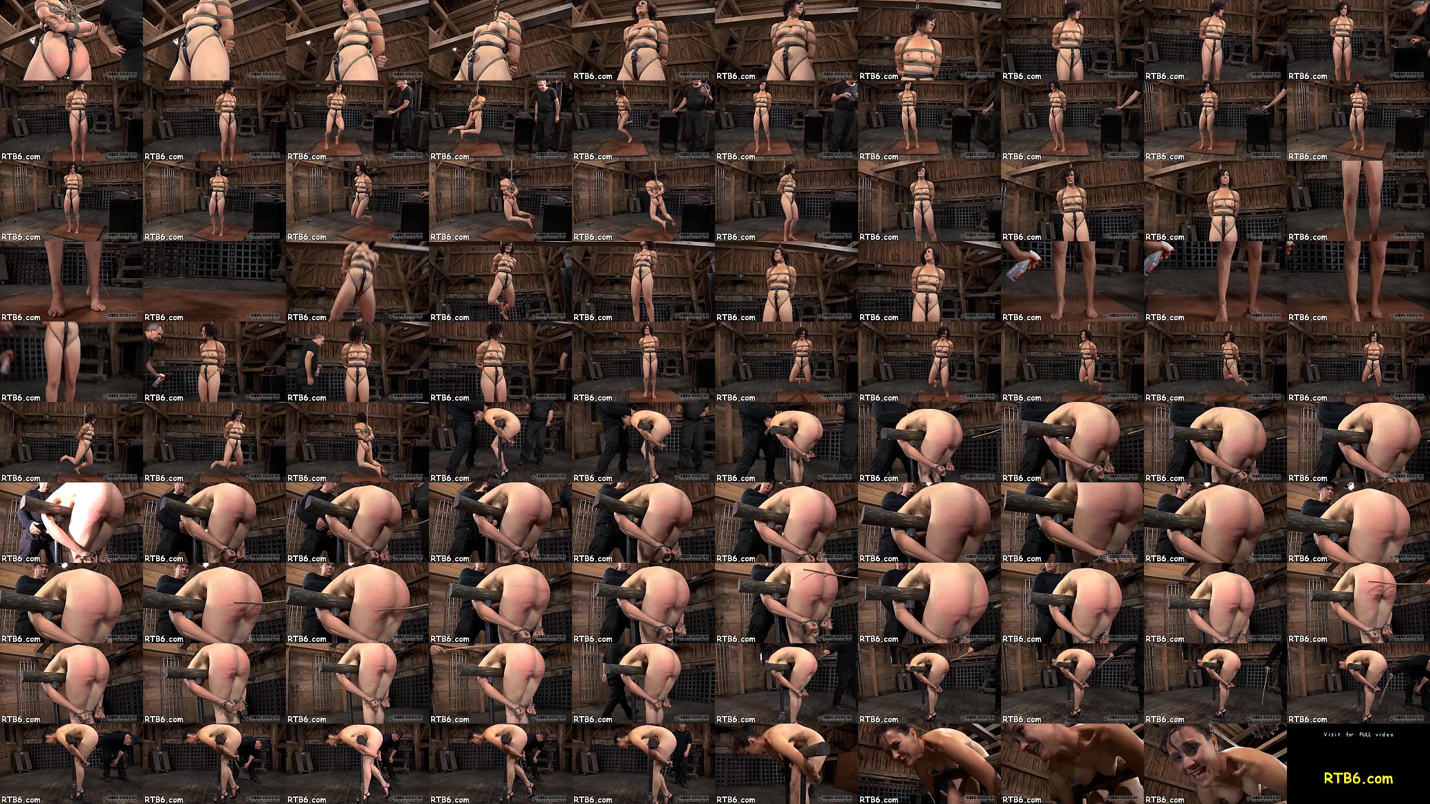Femdom sadomasochism 预览图