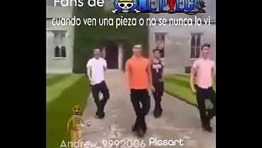 Fans del one piece be like
