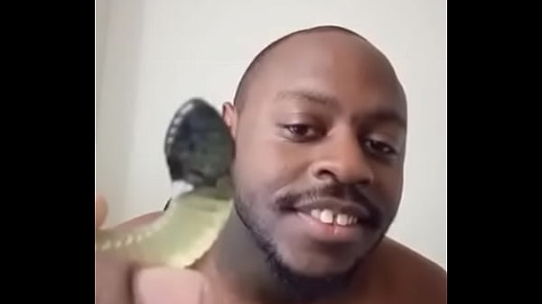 Other colors these scorpio zodiac animals show up in 1