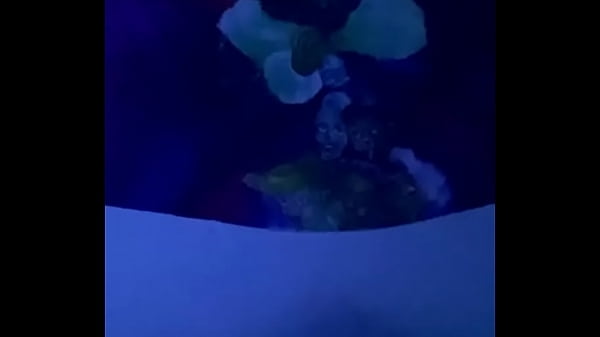 Équitation