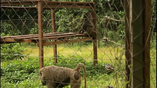 FEMINGE 4K - Superb Lesbian Couple Are Making Out On The Park Bench