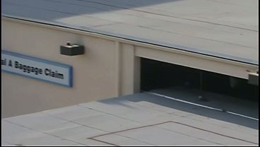 Winterfresh Bush Snowboard Babe