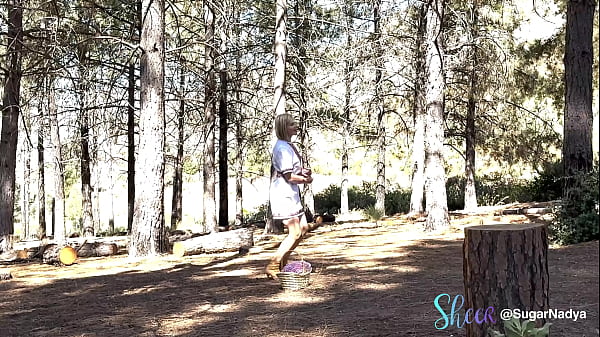 Backstage The Mari Legend of the Happiness Mushroom